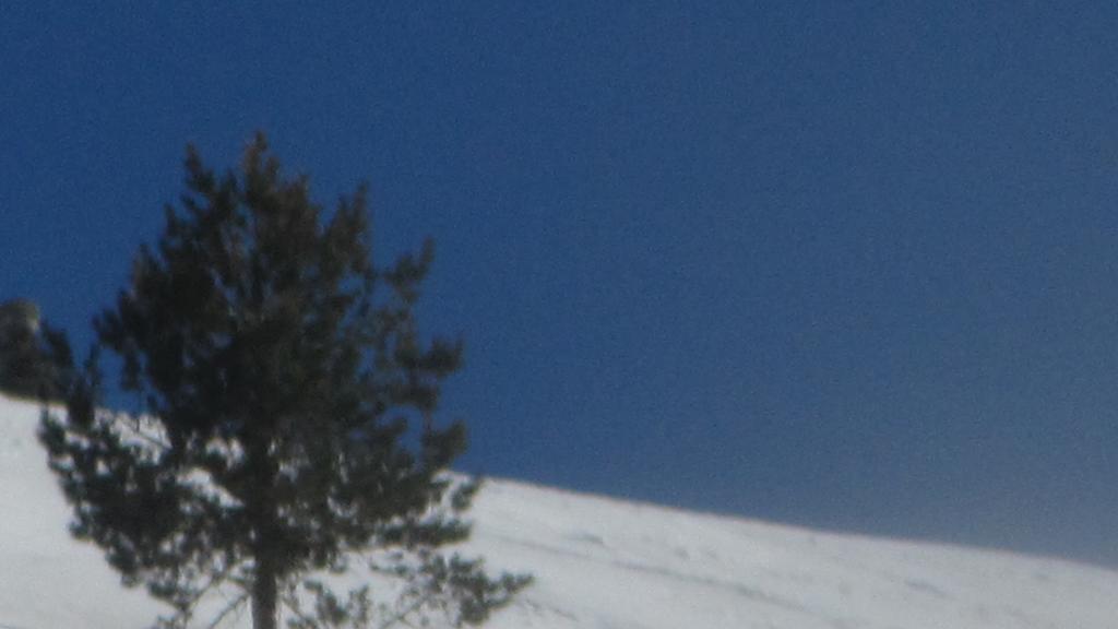 Kaçkar Pansiyon Yaylalar Extérieur photo